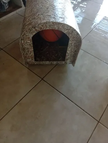 Casinha de cachorro