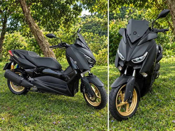 Xmax 250