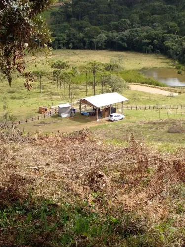 Lindo terreno com 1hectare - escritura pública e nascente de água- pego veículos em troca.