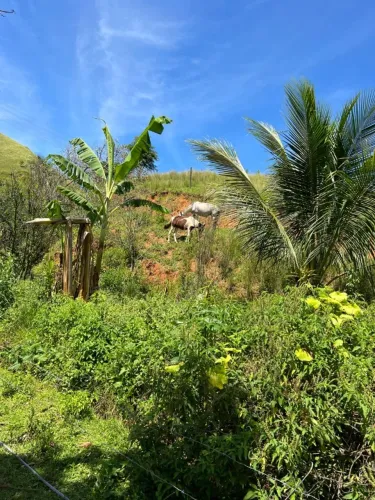 Sitio Santa Mônica - Paracambi - Um verdadeiro refúgio natural