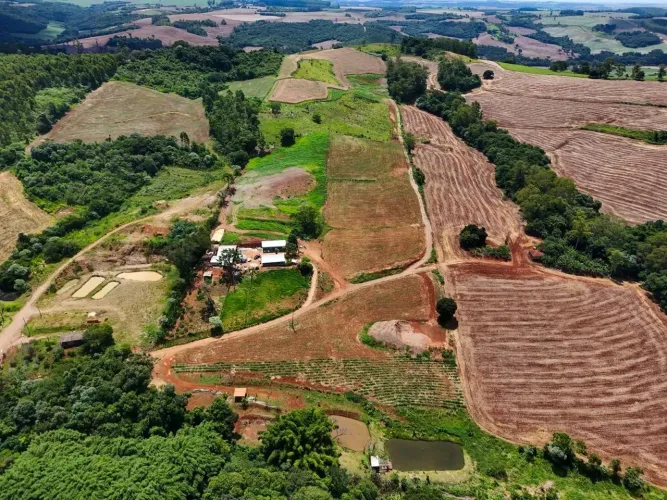 Sítio 4 alqueires rico em água em Califórnia Pr