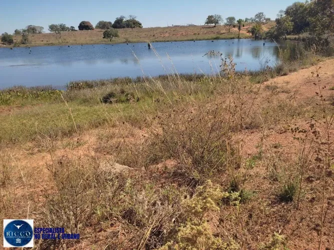 Fazenda à Venda em Montes Claros  GO | 44 Alqueires | Dupla Aptidão