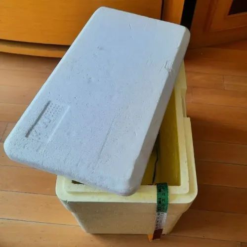  *caixa isopor térmica 21l litros 22x42x35 