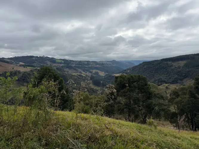 Imóvel para venda possui 20000 metros quadrados em Santa Barbara - Alfredo Wagner - SC