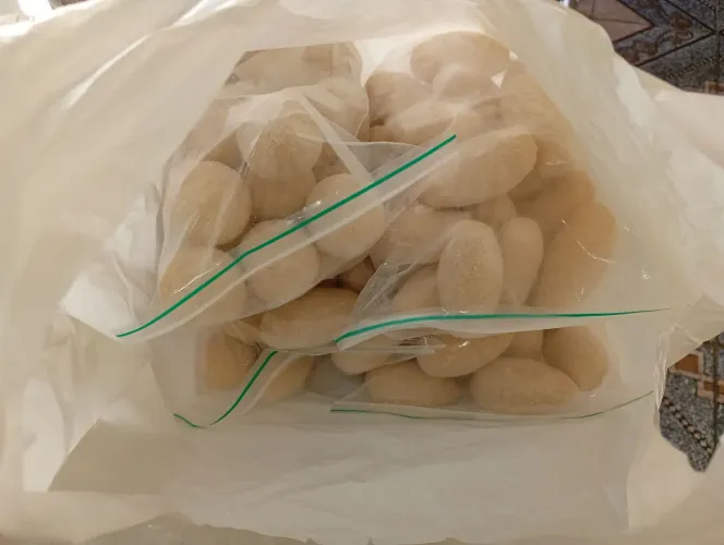 Salgados congelados 