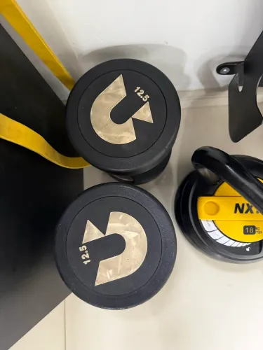 Par de dumbell 12.5kg