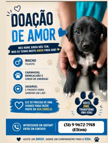 Doação responsável 