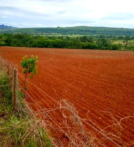 Fazenda com 116 hectares a venda proximo a Iporá - GO