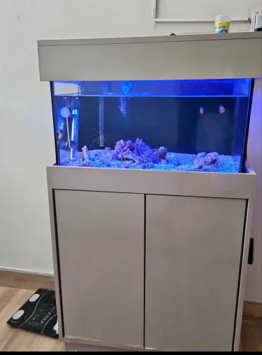 Vende se aquário 65 litros com móvel