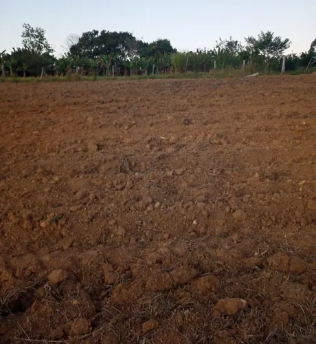 Terreno