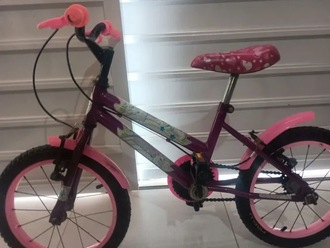 Bicicleta