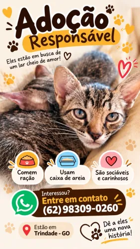Adoção responsável