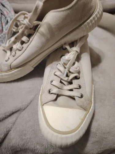 All Star 