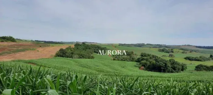 Sítio à venda, 290400 m² por R$ 4.000.000,00 - Zona Rural - Itambé/PR