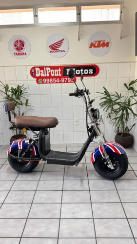 Scooter elétrica Panda X13