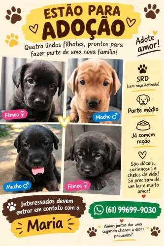 Filhotes para doação