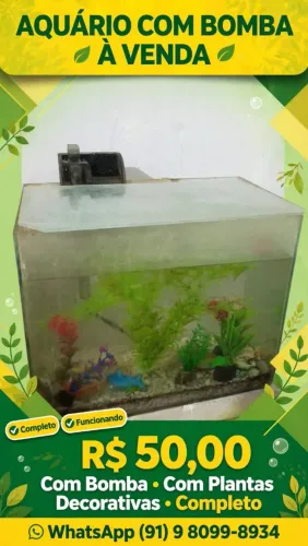 Aquário 