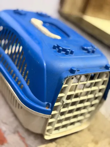 Casinha de transporte de cachorro