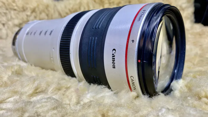 Canon EF 28-300mm f/3.5-5.6L IS USM