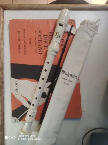 Flauta doce com método 