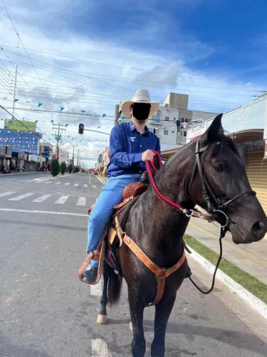 Potro Mangalarga Marchador - 2 anos e 11 meses