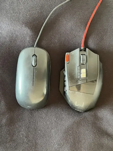 Mouses