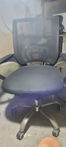 Cardeira