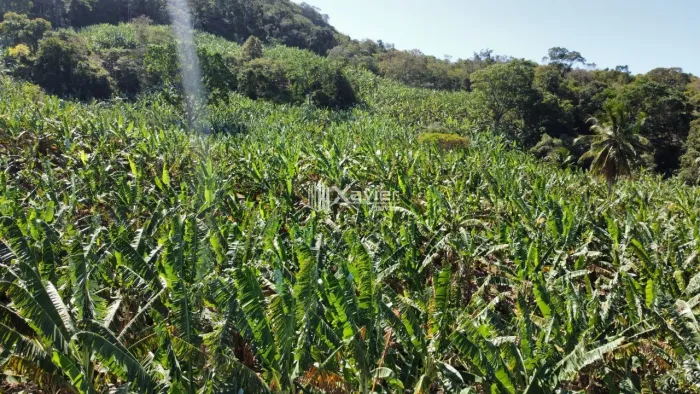 Terreno de 2 alqueires à Venda em Laje das Pedras, Guarapari/ES - Produção de Banana, Água