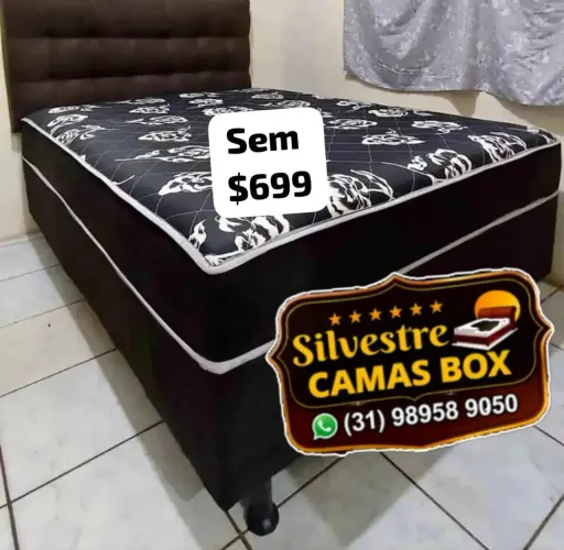 Silvestrejlalves@gmail.com