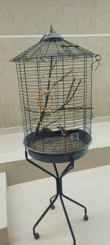 Gaiola