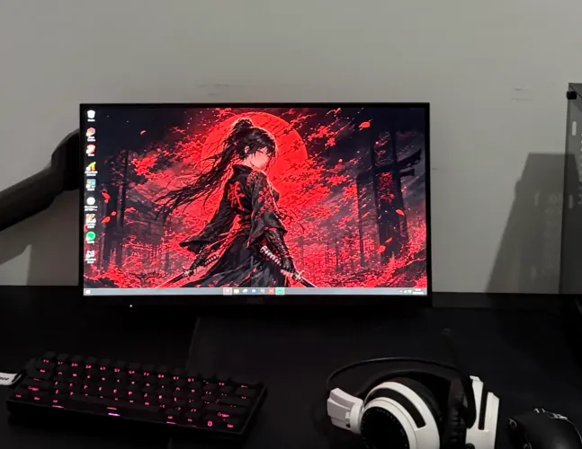 Monitor AOC 21,5 ? 120hz