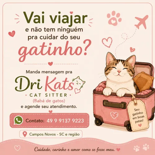 Não tem como quem deixar seu gato?