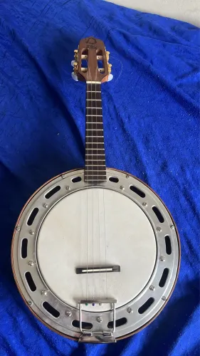 Vendo ou troco banjo brasileiro
