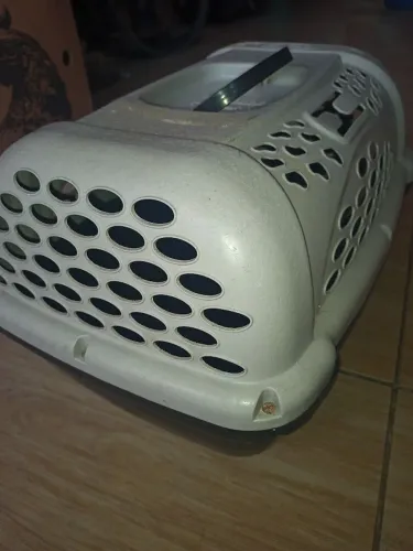 Caixinha do Pet, pronta pra levá-lo.