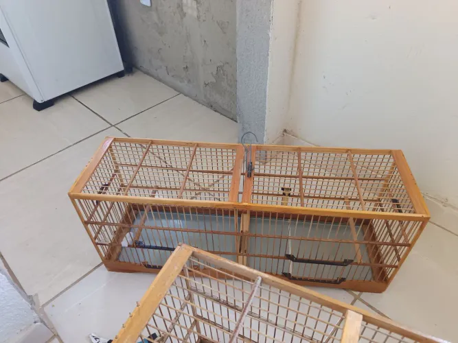 Gaiolas muito novas vários tamanhos e preços