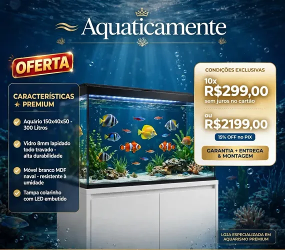 Para maiores informações chamar no inbox