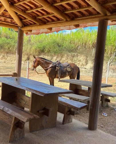 Cavalos
