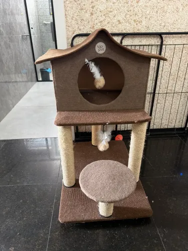 Casinha para gato