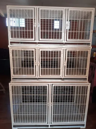 Vendo gaiola grande para banho e tosa várias utilidades oportunidade