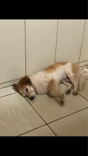 Doação responsável 