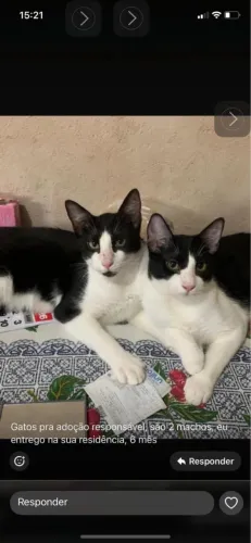 Mim leva pra sua casa 