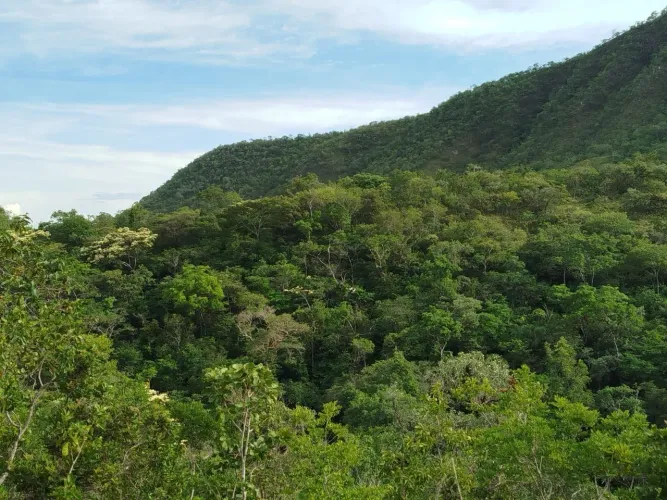 Terreno a venda em São Jorge/Ecovila 