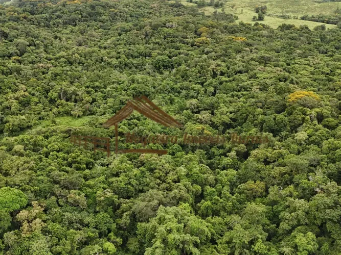 Fazenda com 286 hectares para área para reservar ambiental