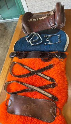 Conjunto de arreio para cavalo