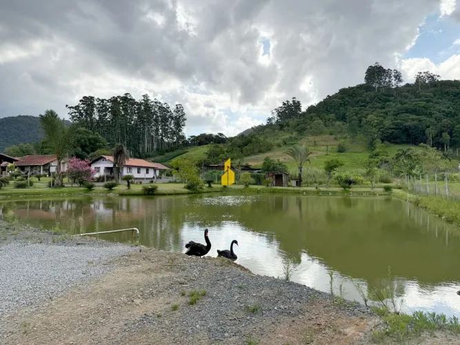 Mini sítio à venda em Tiroleses com piscina e lagoa
