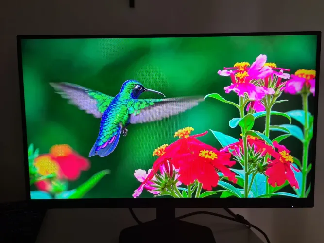 Monitor AOC 27G4/P 180hz 0.5ms Full HD