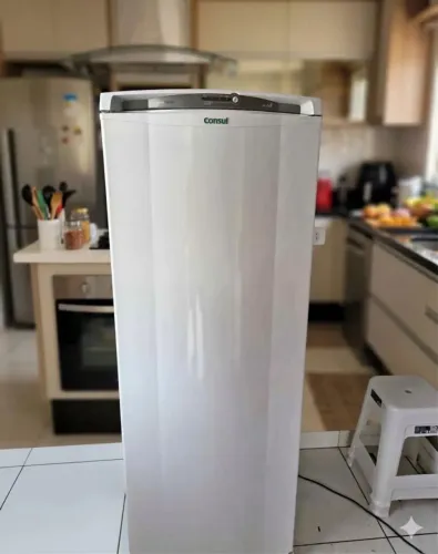 Geladeira Frost free tamanho de uma duplex com garantia o frete grátis