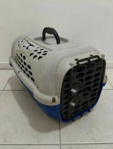 Caixa Pet Casinha e Mala para Cachorro e Gatos M top de linha para Animais Diversos