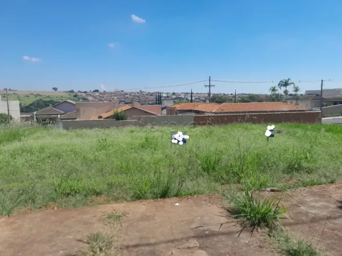 Terreno Padrão em São Manuel