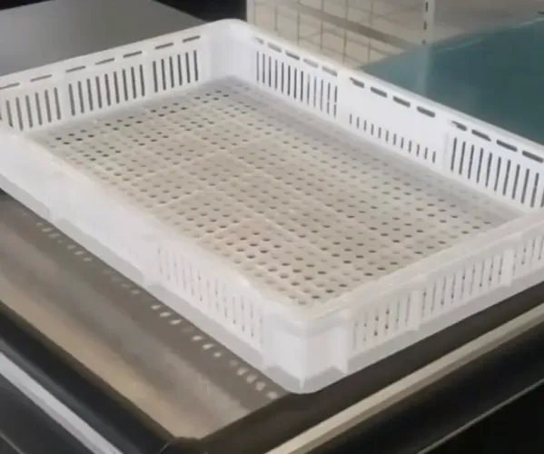 Bandejas  industrial pra congelar alimentos e salgados 